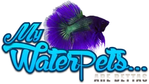 Vibrant Betta Fish Graphic PNG Image