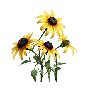 Vibrant Black Eyed Susan Illustration Png Fgo96 PNG Image