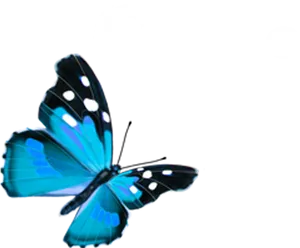 Vibrant Blue Butterfly Graphic PNG Image