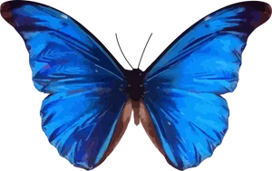 Vibrant_ Blue_ Butterfly_ Vector_ Art.png PNG Image