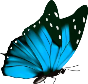 Vibrant Blue Butterflyon Black PNG Image