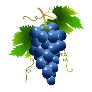 Vibrant_ Blue_ Grapes_ Vector PNG Image