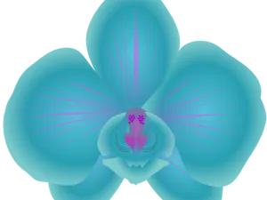 Vibrant Blue Orchid Illustration PNG Image