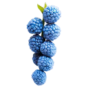 Vibrant Blue Raspberry Png Cas50 PNG Image