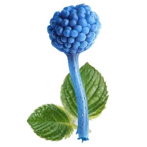 Vibrant Blue Raspberry Png Enp PNG Image