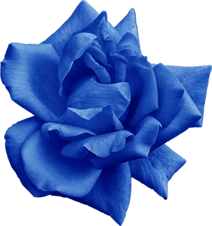 Vibrant Blue Rose Flower PNG Image