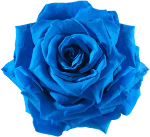 Vibrant Blue Rose Isolatedon Black PNG Image