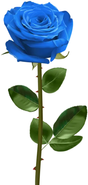 Vibrant Blue Rose Stem PNG Image