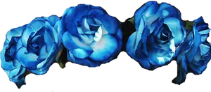 Vibrant Blue Roseson Black Background PNG Image