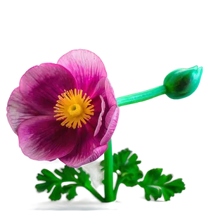 Vibrant Buttercup Png Rii62 PNG Image