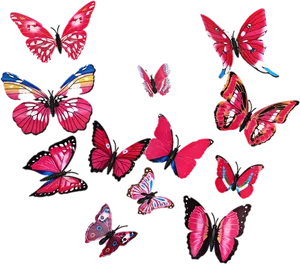 Vibrant Butterfly Collection Wall Art PNG Image