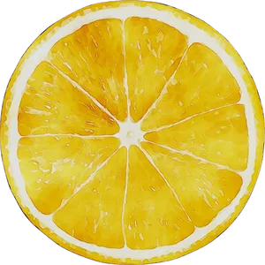 Vibrant Citrus Slice PNG Image