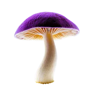 Vibrant Colors Fungi Png Wfl13 PNG Image