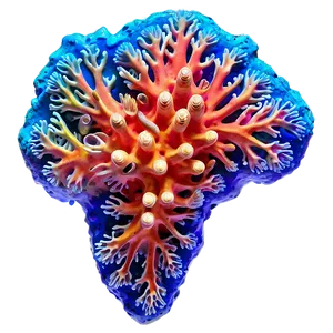Vibrant Coral Formation PNG 69 PNG
