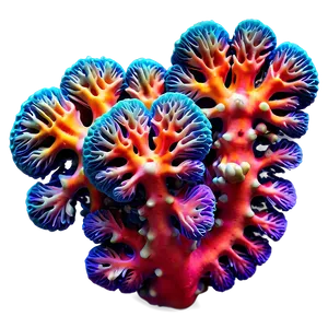 Vibrant Coral Formation PNG Qji88 PNG