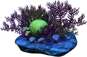 Vibrant Coral Reef3 D Render PNG Image