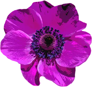 Vibrant Digital Art Poppy PNG Image