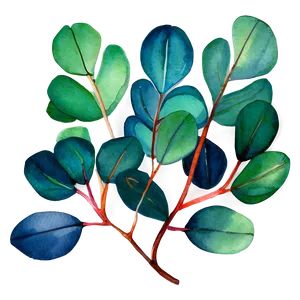 Vibrant Eucalyptus Watercolor Png Ofu PNG Image