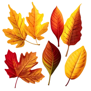 Vibrant Fall Foliage Png Tts21 PNG Image