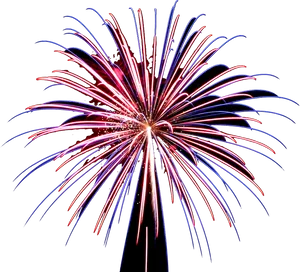 Vibrant Firework Explosion PNG Image