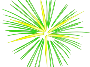 Vibrant_ Firework_ Illustration PNG Image