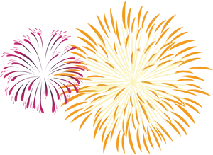 Vibrant Fireworks Display PNG Image