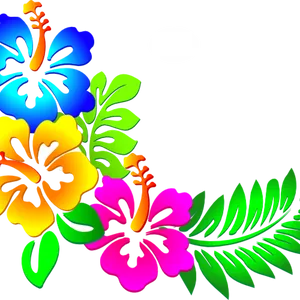 Vibrant Floral Designon Black Background PNG Image