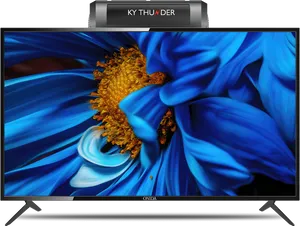 Vibrant Flower On T V Display PNG Image