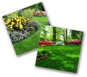 Vibrant_ Garden_ Collage PNG Image