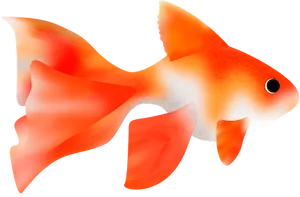 Vibrant Goldfish Illustration PNG Image