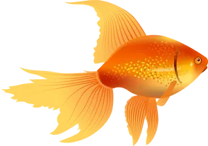 Vibrant Goldfish Illustration PNG Image