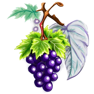 Vibrant Grape Clipart Png Yof86 PNG Image