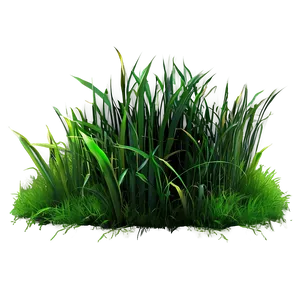 Vibrant Grass Patch Png 14 PNG Image