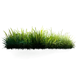 Vibrant Grass Patch Png Vhb PNG Image