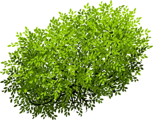 Vibrant Green Bush3 D Render PNG Image