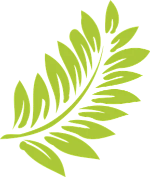 Vibrant Green Fern Leaf Graphic PNG Image