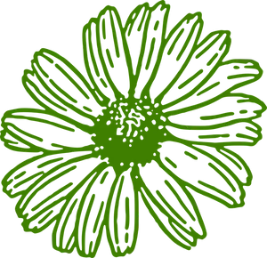 Vibrant Green Floral Illustration PNG Image