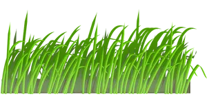 Vibrant Green Grass Illustration PNG