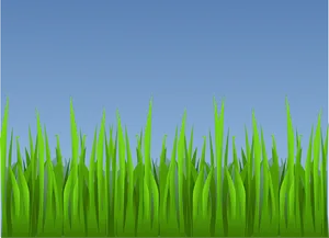 Vibrant Green Grass Vector PNG Image