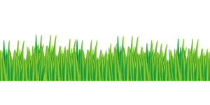 Vibrant Green Grass Vector PNG