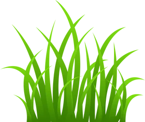 Vibrant Green Grass Vector Illustration PNG Image