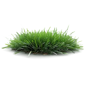 Vibrant Green Lawn Png Cdg PNG Image