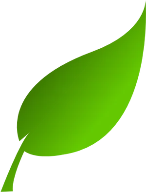 Vibrant Green Leaf Graphic PNG Image