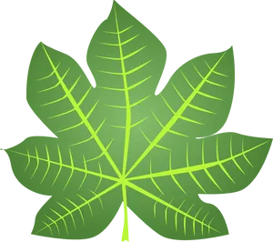 Vibrant Green Leaf Graphic PNG Image