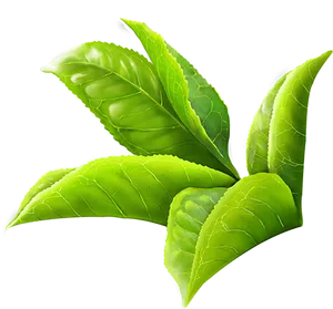 Vibrant Green Leaves Black Background PNG Image