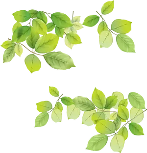 Vibrant Green Leaves Black Background PNG Image