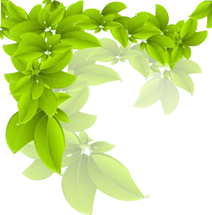 Vibrant Green Leaves Vector PNG Image