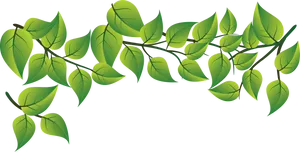 Vibrant Green Leaves Vector PNG Image