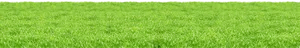 Vibrant Green Meadow Texture PNG Image