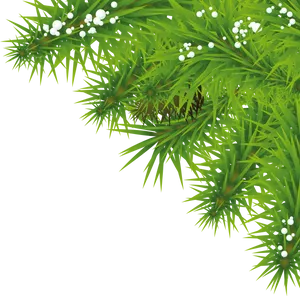 Vibrant Green Nature Background PNG Image